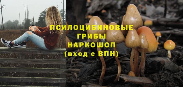 крисы Протвино