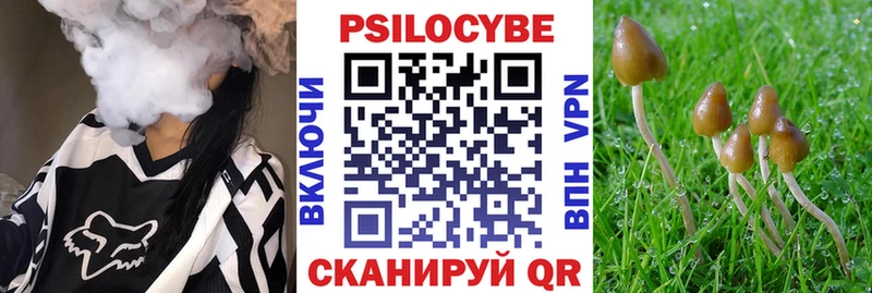 Купить где  Кинель  Псилоцибиновые грибы GOLDEN TEACHER 